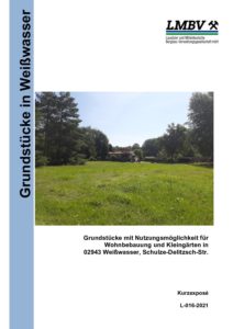 L 016 2021 ExposA© WeiAwasser pdf